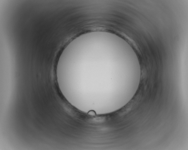 X0000114650353200910201005