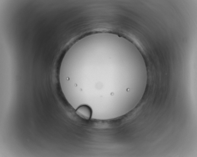 X0000114650354200910201005