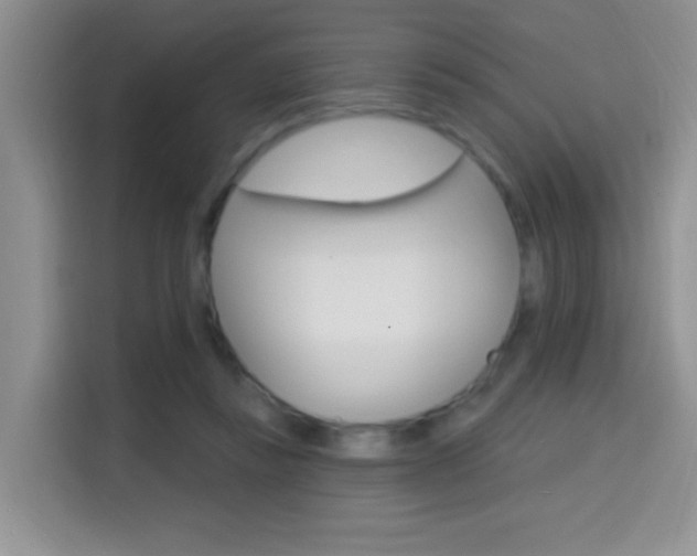 X0000114650355200910201005