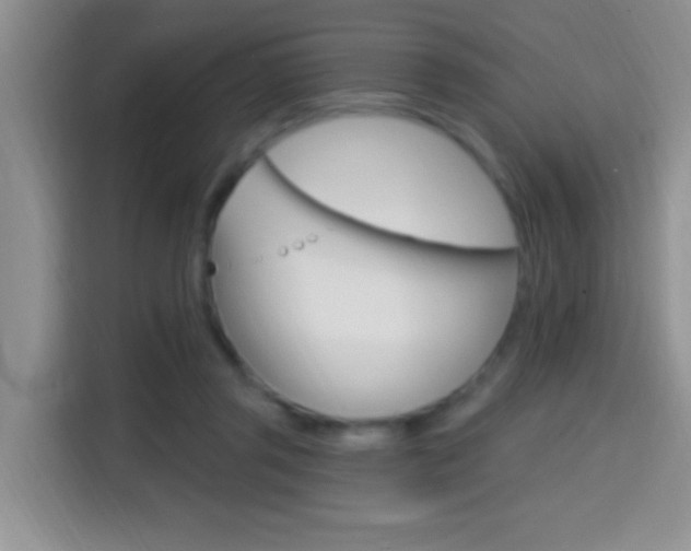 X0000114650357200910201005