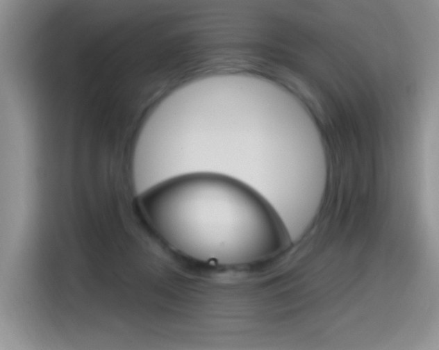 X0000114650362200910201005