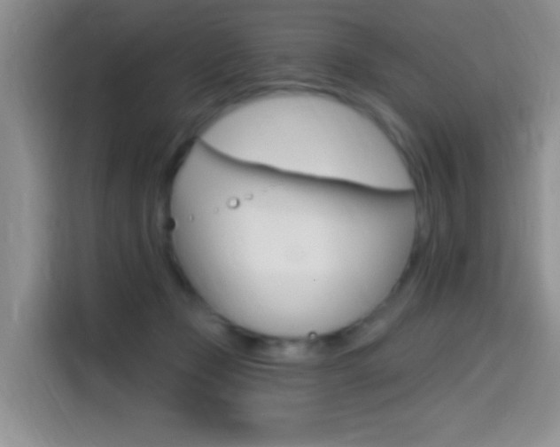 X0000114650365200910201005