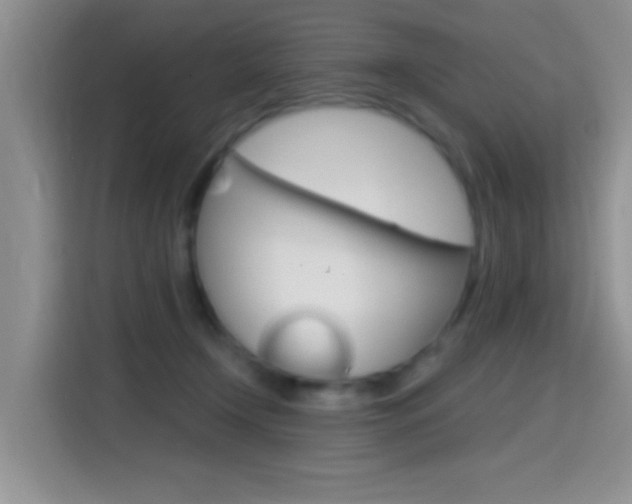 X0000114650366200910201005