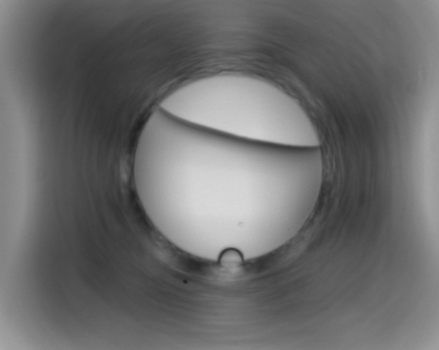 X0000114650374200910201005