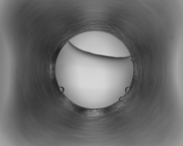 X0000114650378200910201006