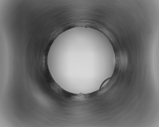 X0000114650381200910201006
