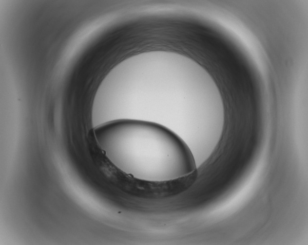 X0000114650382200910201006