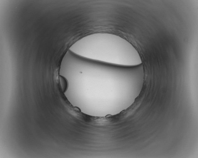 X0000114650383200910201006