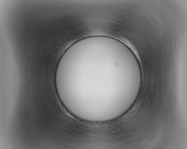 X0000114650385200910201005
