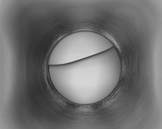 X0000114650386200910201005