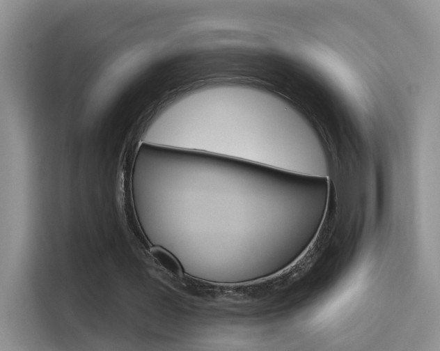 X0000114650387200910201005