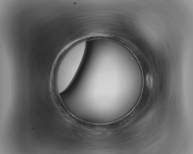 X0000114650388200910201005