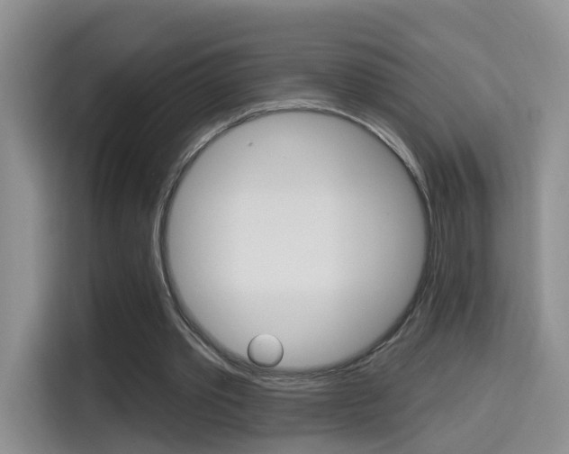 X0000114650389200910201005