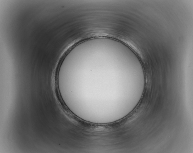 X0000114650390200910201005