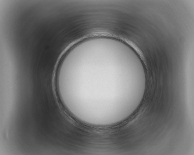 X0000114650391200910201005