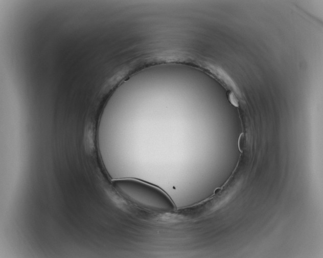 X0000114650393200910201005