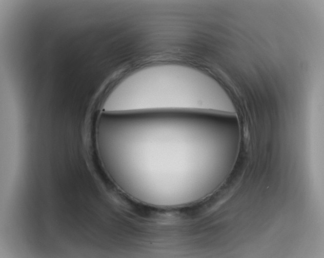 X0000114650396200910201005