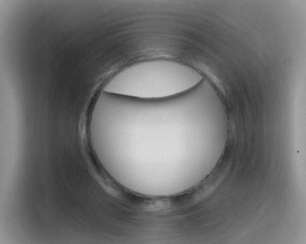 X0000114650398200910201005