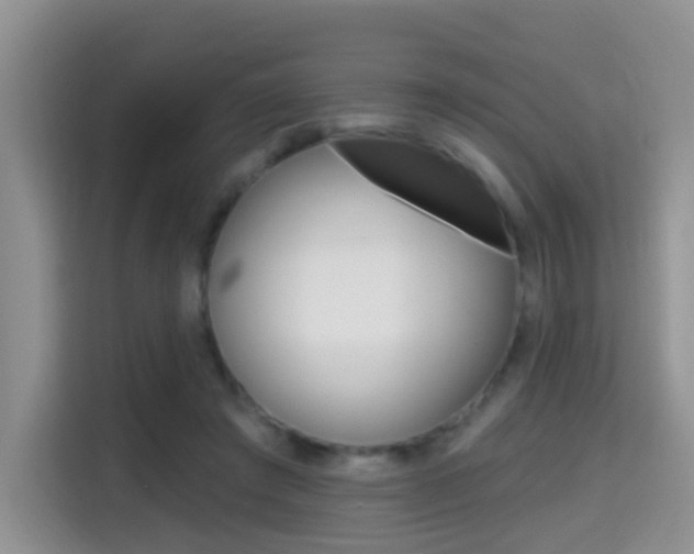 X0000114650401200910201005