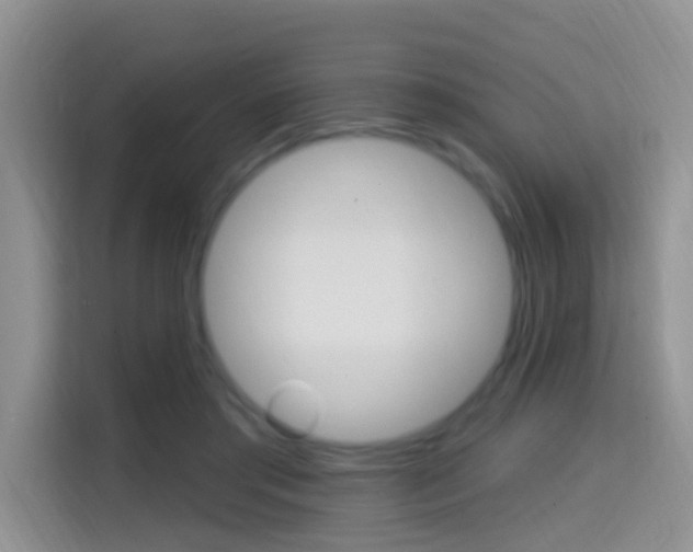 X0000114650405200910201005