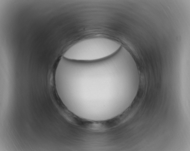 X0000114650406200910201005