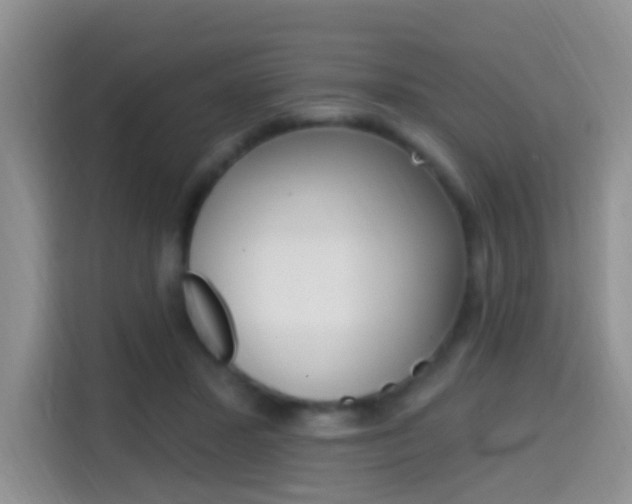 X0000114650407200910201005