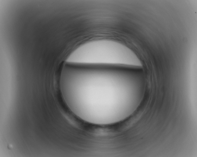 X0000114650408200910201005