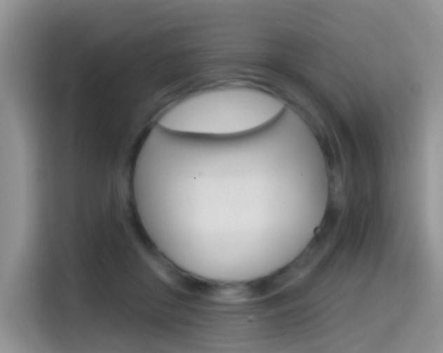 X0000114650410200910201005