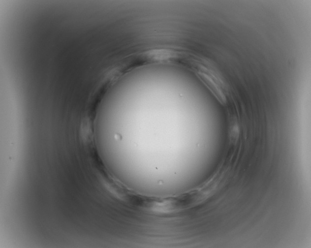 X0000114650411200910201005