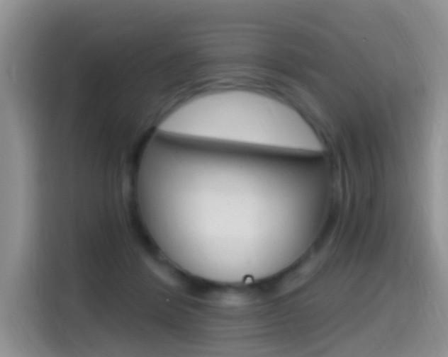 X0000114650412200910201005