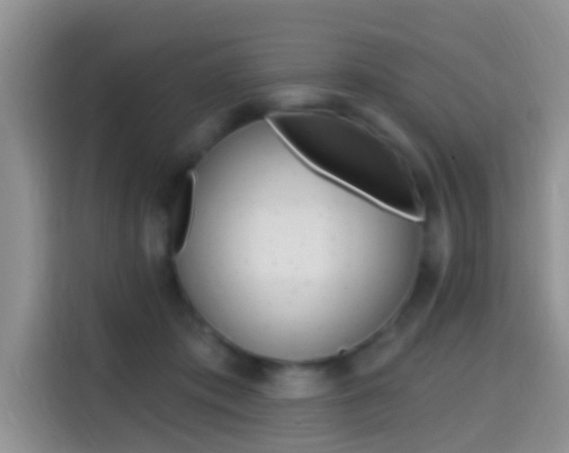 X0000114650413200910201005