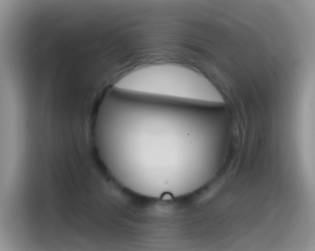 X0000114650416200910201005