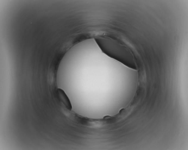 X0000114650417200910201005