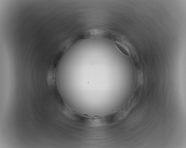 X0000114650419200910201005