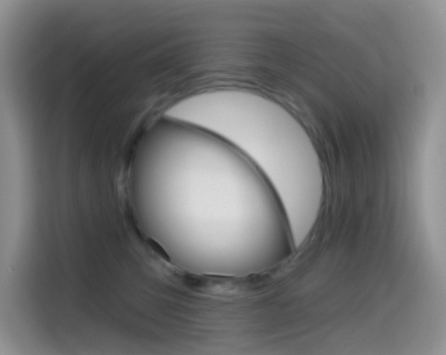 X0000114650423200910201004