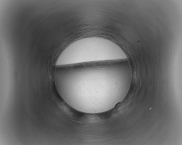 X0000114650424200910201004