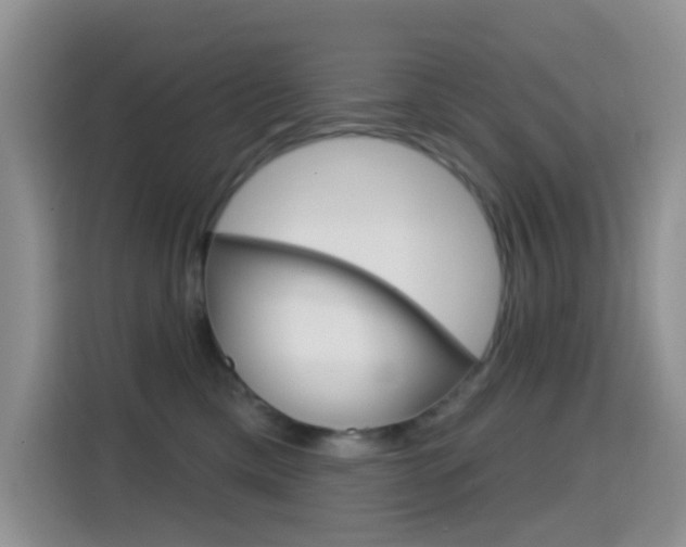 X0000114650425200910201004
