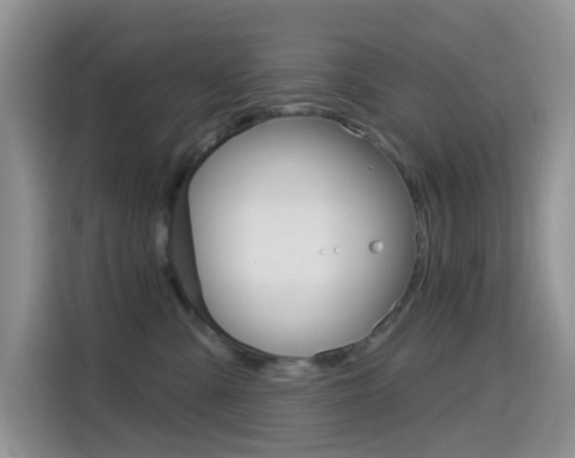 X0000114650427200910201004