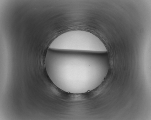 X0000114650428200910201004