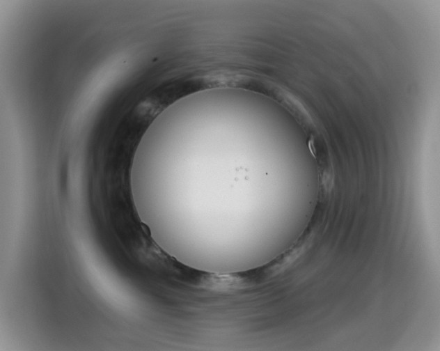 X0000114650429200910201004