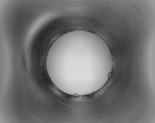 X0000114650430200910201004