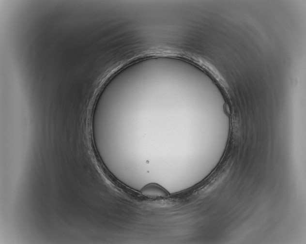 X0000114650433200910201004