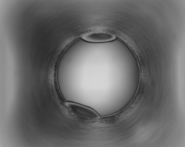 X0000114650434200910201004