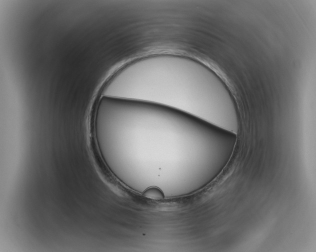 X0000114650438200910201004