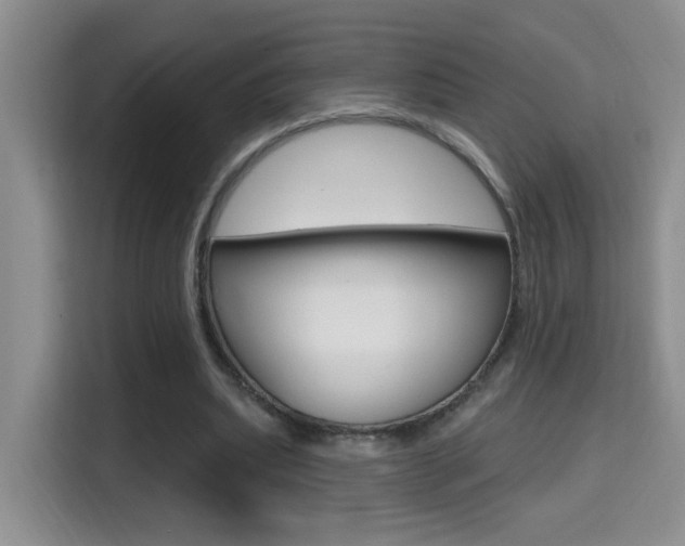 X0000114650439200910201004