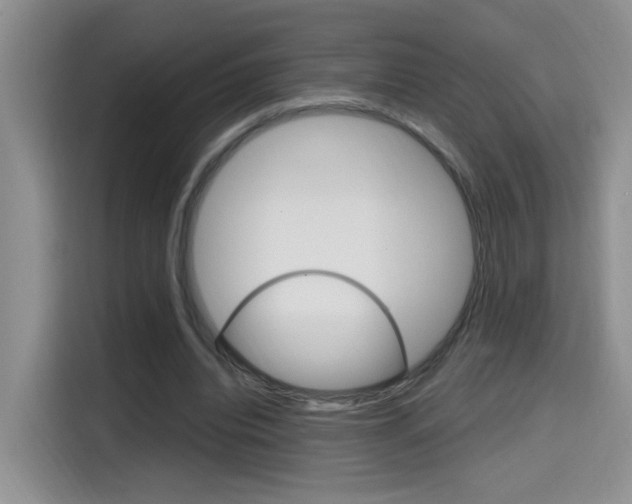 X0000114650440200910201004