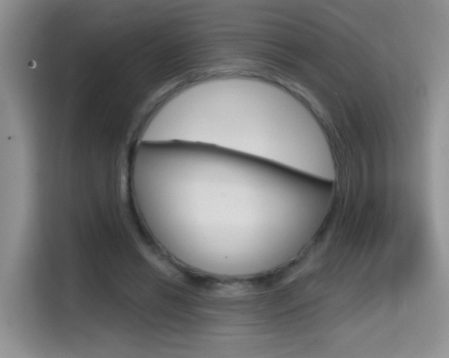 X0000114650446200910201004