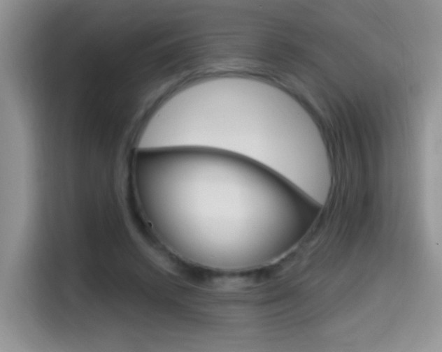 X0000114650448200910201004