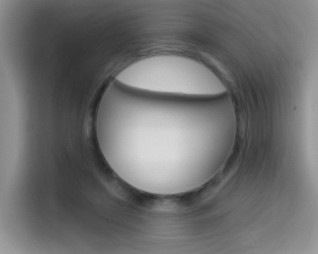 X0000114650451200910201004