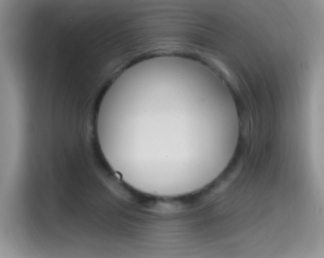 X0000114650455200910201004